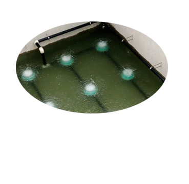 spickova